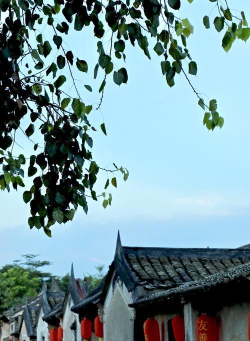 古朴小屋的故事（一处安心和宁静的地方）