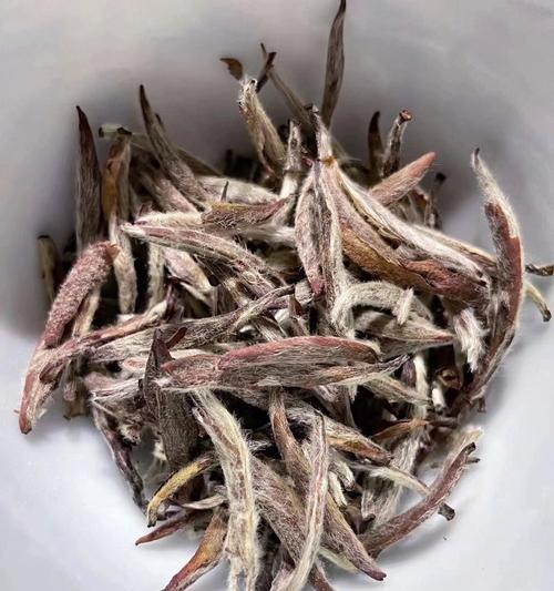 重新出发（一个人的决断）