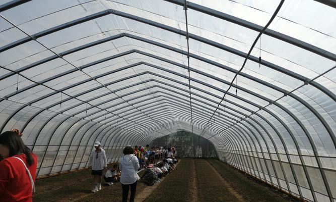 担当梦想，成就未来（无悔青春路，放飞理想梦）