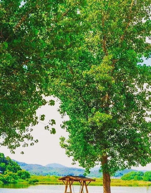 向着梦想出发（勇往直前的青春）