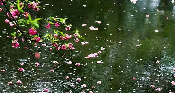 雨点，淋湿了我的心（雨点，淋湿了我的心）