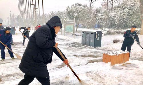 清晨的雪景（拥抱寒冬，享受生活）