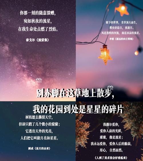 一颗小小的种子（以你的馈赠点燃了我）