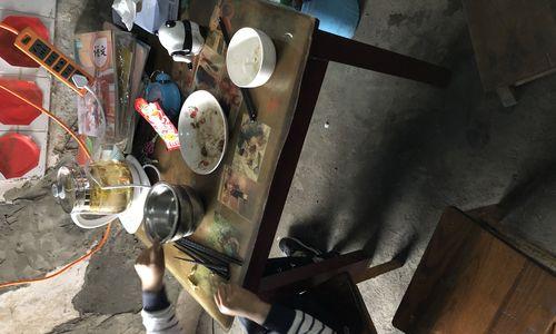 以劳动成长（在劳动中领悟生命的真谛）