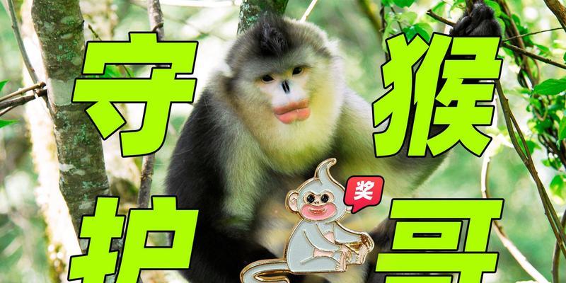 丁丁当当蚂蚁象的冒险之旅（坚持不懈，勇往直前！）