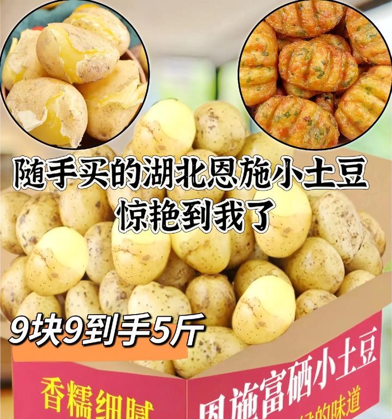 我的最爱——土豆