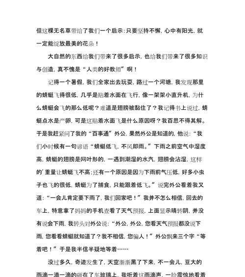 大自然的启示：探寻内心的真谛
