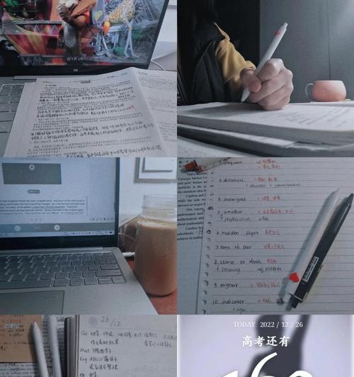 脚踏实地的奋斗之路（一个平凡人的拼搏史）