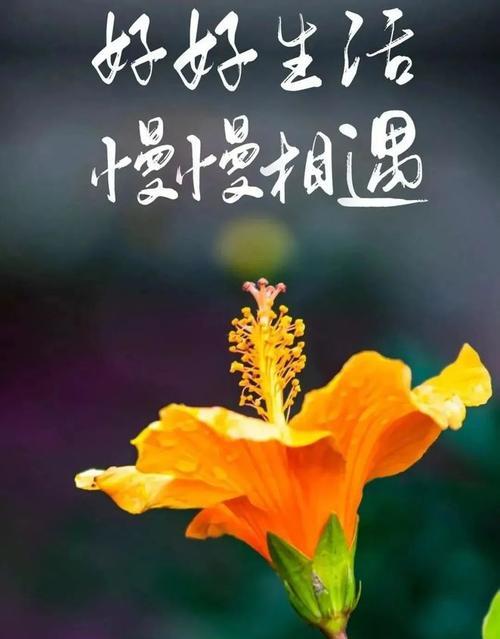 难得满分，人生无悔。（在一个寻常的小镇，一个女孩的成长故事。）