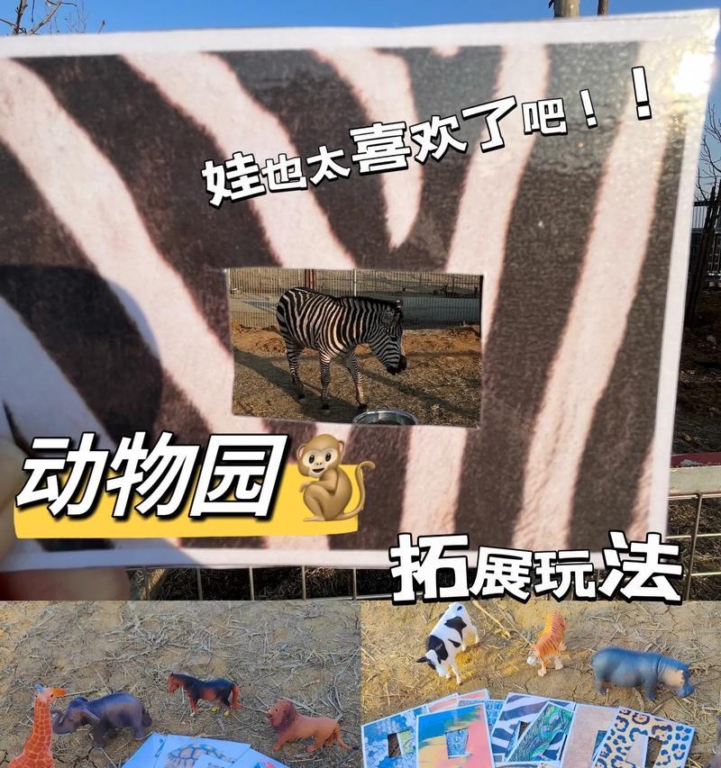 观光动物园的收获与感受（年轻人再次参观动物园，体会到与以前不同的精神层面）