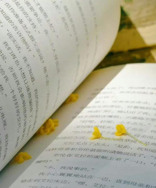 幸福的碎片（捡起心中的欢乐）
