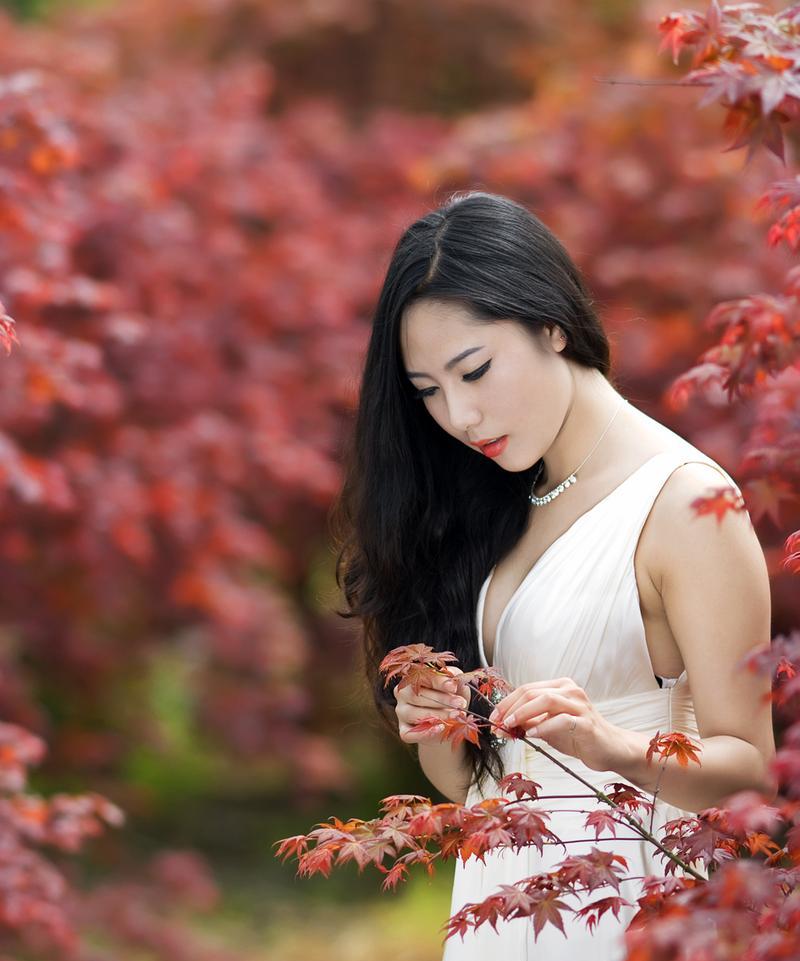 红叶之美（描写赞美红叶的现代诗歌所带来的惊艳）
