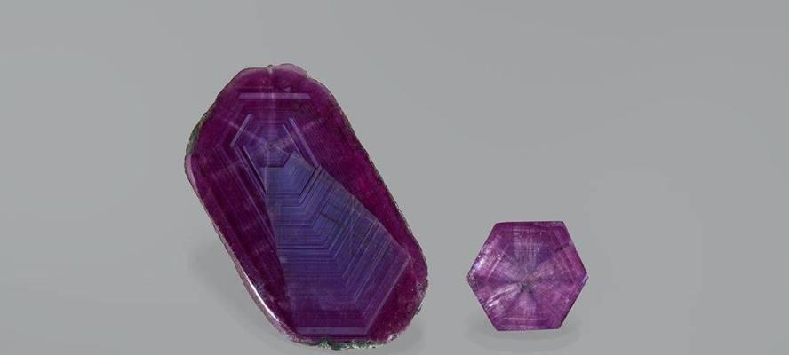 友谊的结晶（陌生人变好友，经历共同成长，友谊在心中发芽生根）