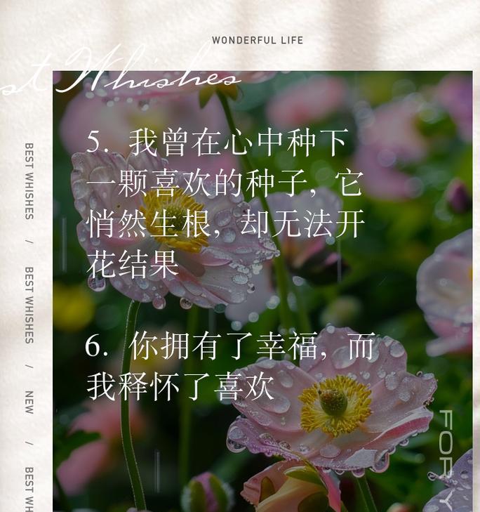 那些注定埋在心底的记忆（青春的遗憾与回忆）