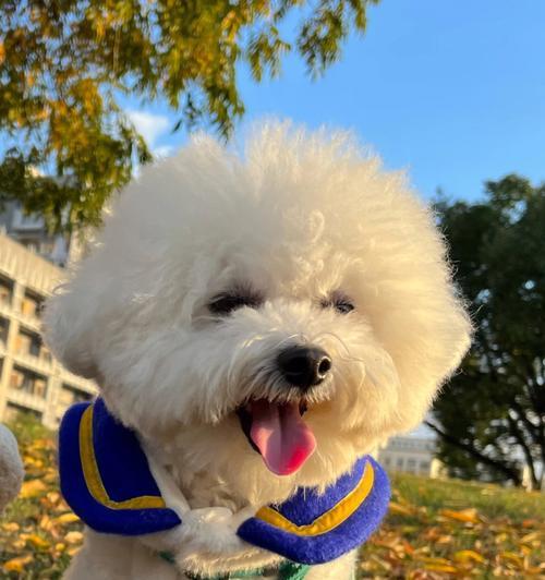 微笑的力量（温暖了我）