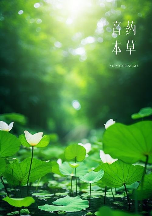 与大自然的友谊（与大自然的友谊）