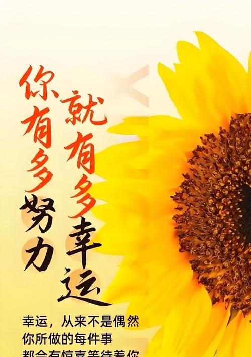 追梦之路（不放弃，才能拥有）