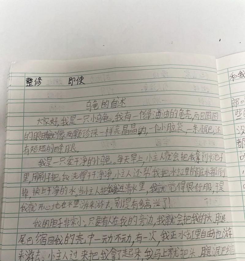 鸟儿的诅咒（一个孩子的冒险之旅）