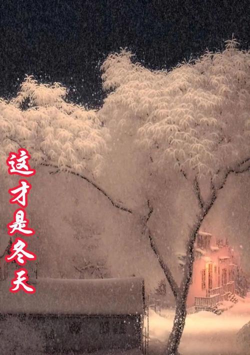那个下雪的冬天（深冬里的温暖）
