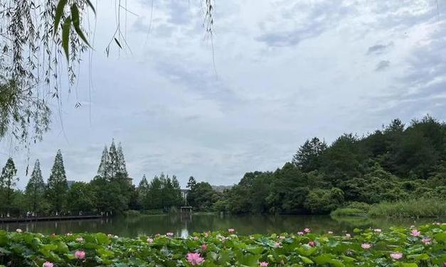 魔法之国的夏日之歌（夏日炎炎，蚊虫萦绕，小精灵的冒险故事）