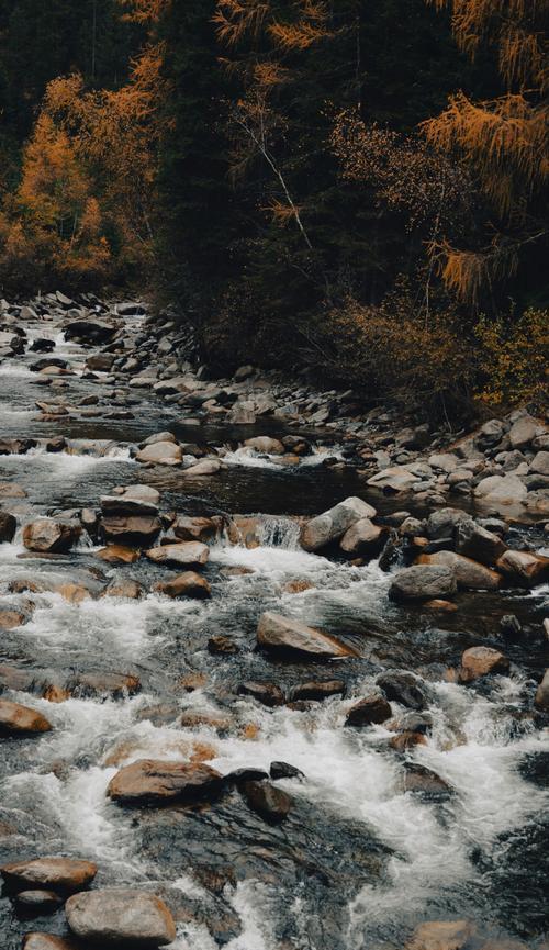 那些曾经留在我心中的风景（一段回忆，一份感恩，一生不忘）