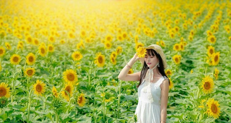 阳光洒落的回忆（记忆中那些充满阳光的瞬间）