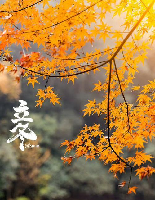 春天的故事（每个春天，总有一些事情值得回忆）