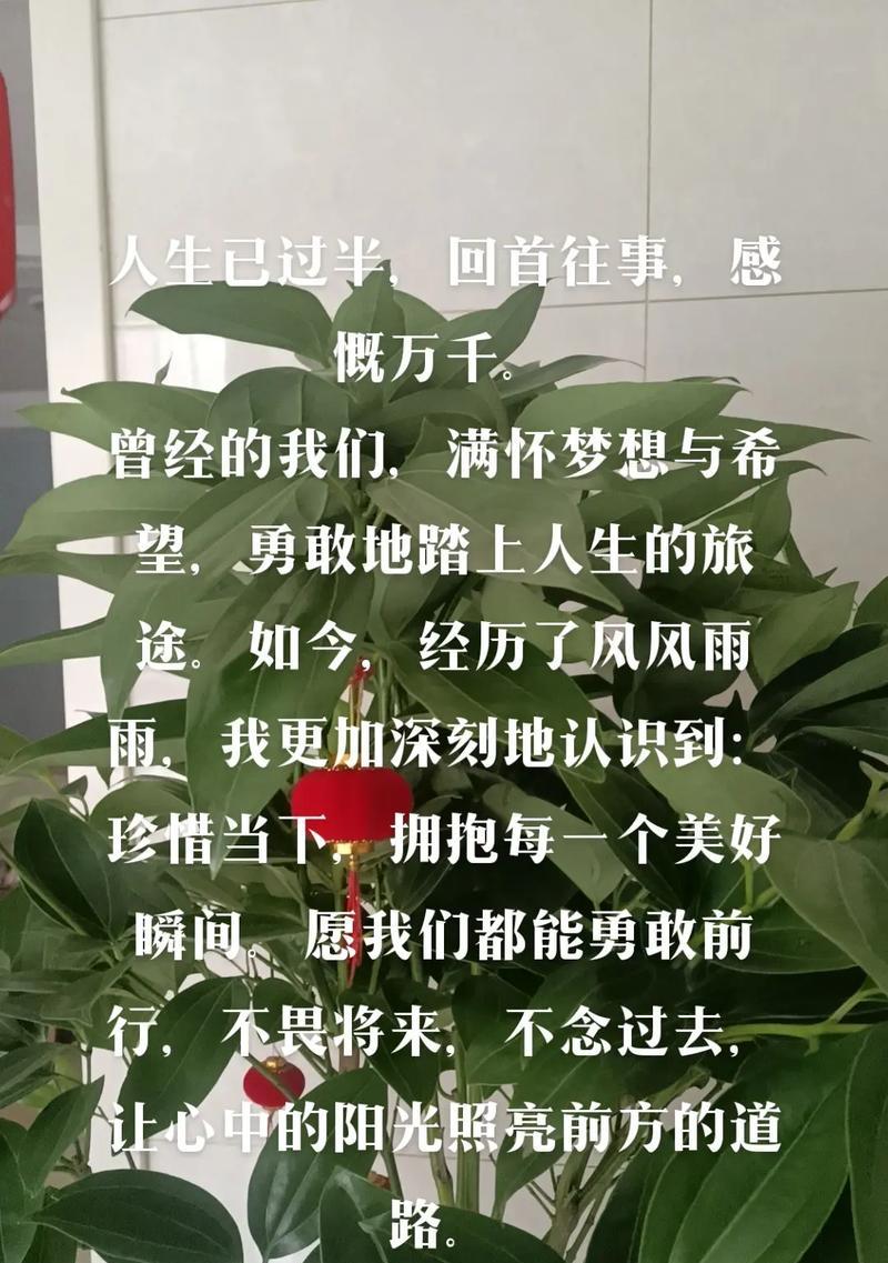飞向人生的梦想（一个少年的翅膀）