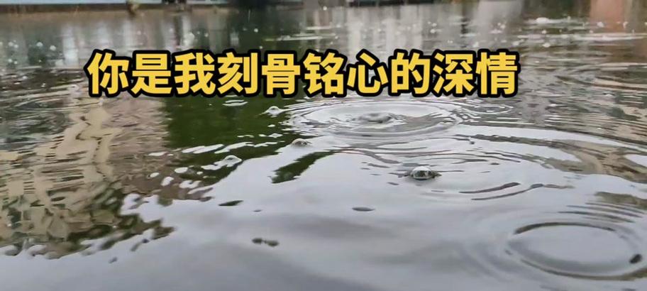 温暖的雨（在雨中重逢）