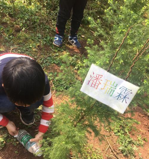 青春的点滴，让我们成长（青春的点滴，让我们成长）
