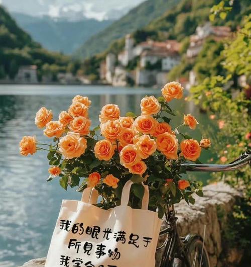 温暖的礼物（当爱遇见你）