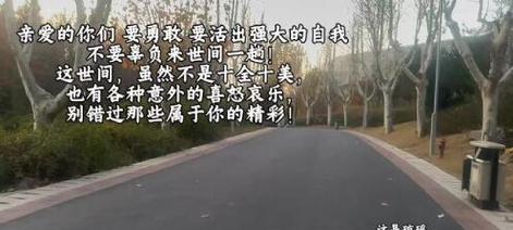 泪水中的感动（22个段落，描绘真实的情感世界）