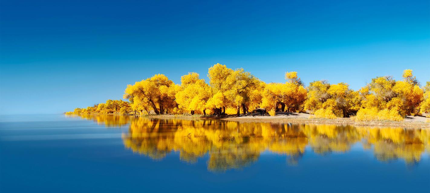 山间往事（记忆中的花香与风景）