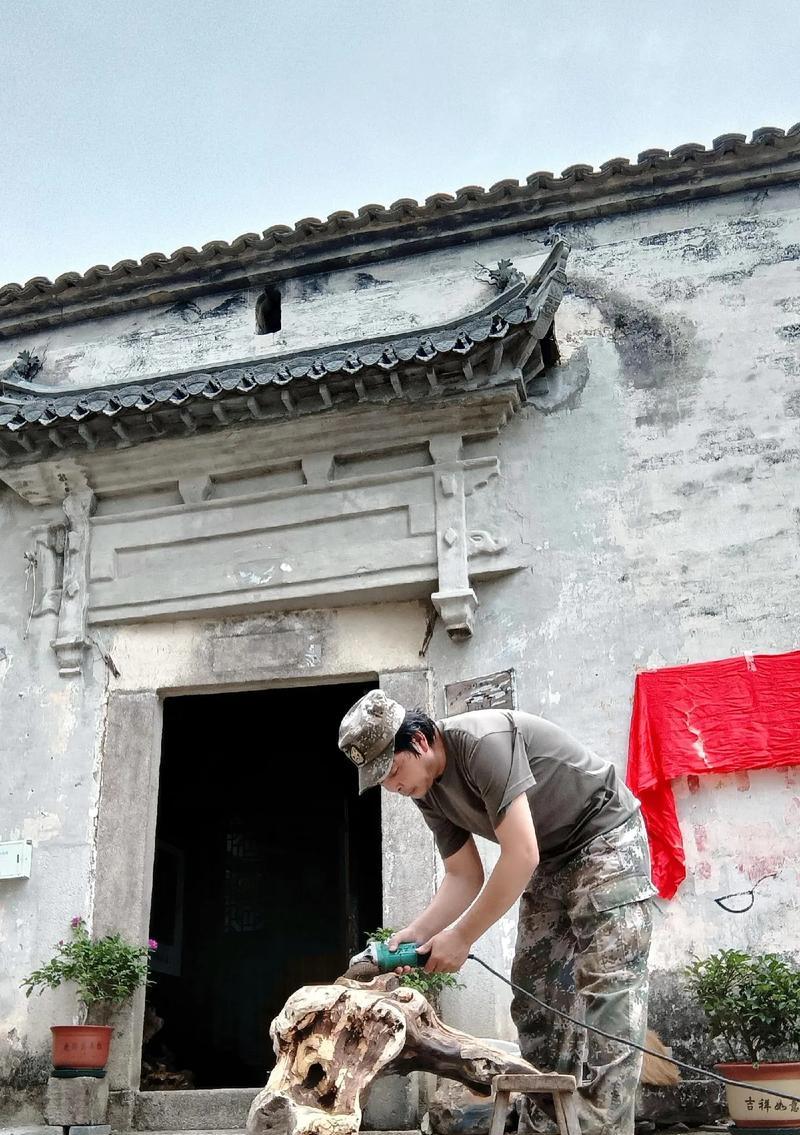 《文化血脉》（传承与相遇）