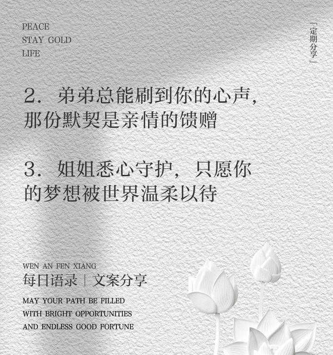 照亮亲情的光芒（一段母子之间的感人故事）