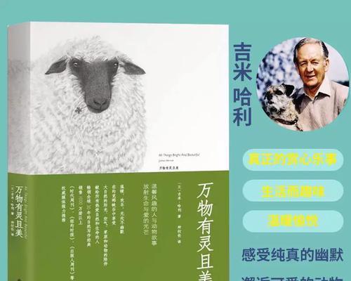 一个孤独老人的温馨故事（一个孤独老人的温馨故事）