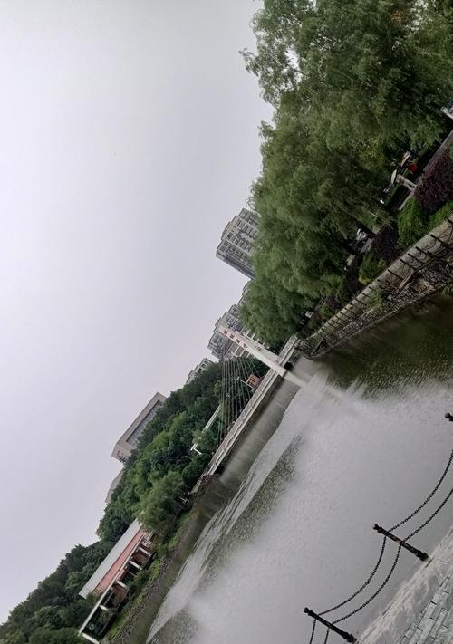 雨中回忆：一场美丽的雨