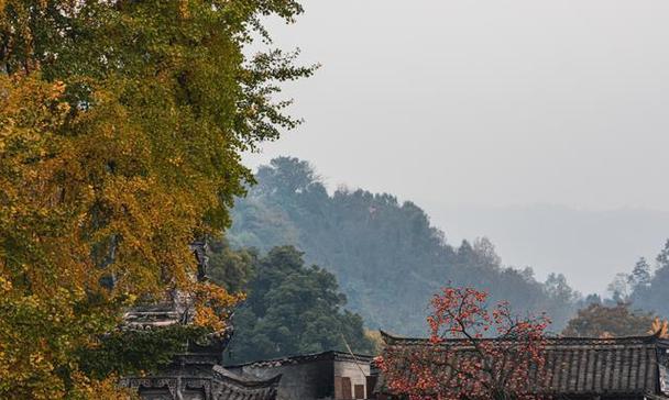 味道执念（一份原汁原味的历史文化）