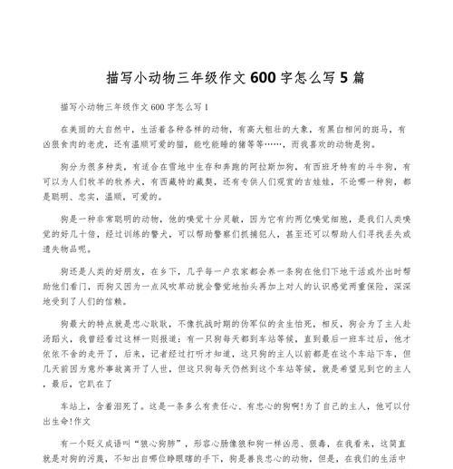 小狗成长记（和主人一起经历的点点滴滴）