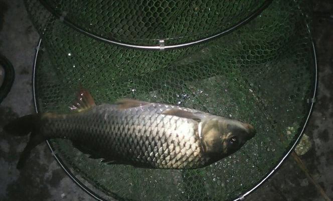 钓鱼得启示