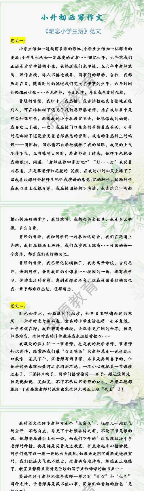 童年记忆，岁月静好（难忘的小学生活六年级）