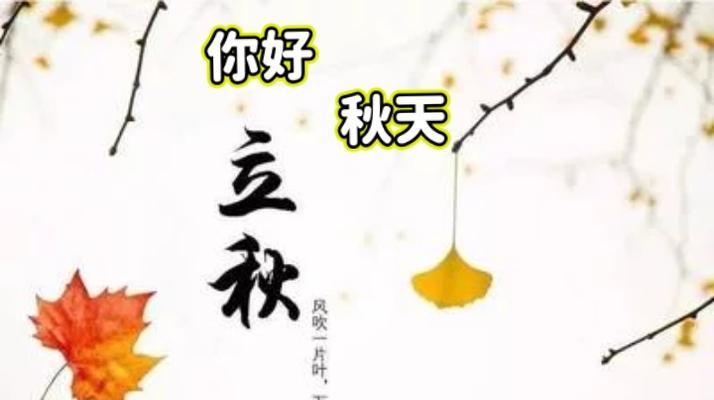 一场别样的相遇（一场别样的相遇）