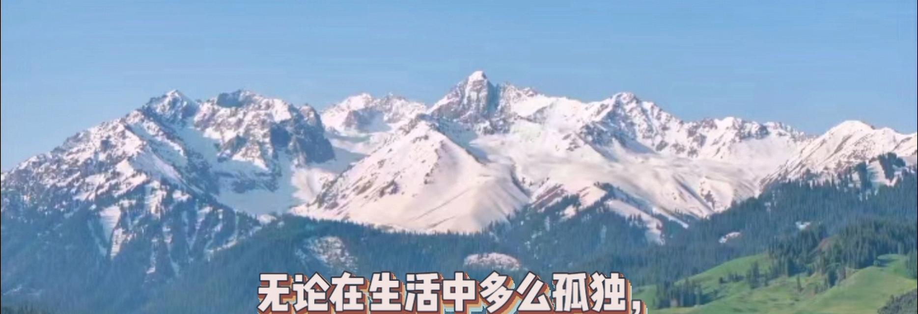 走过生命的旅途（一个人的成长历程）