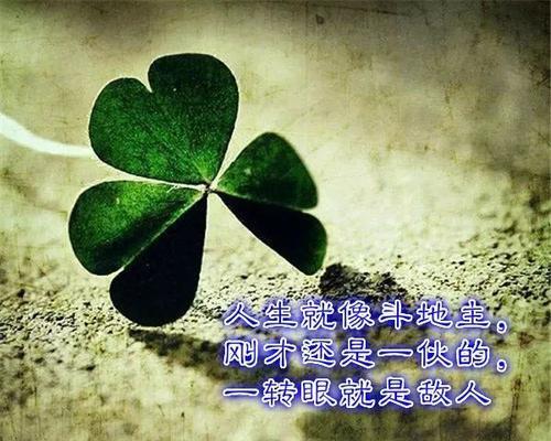 美丽人生——从平凡到辉煌