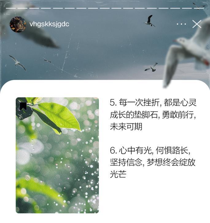 前进的力量（闪耀光芒的流星）