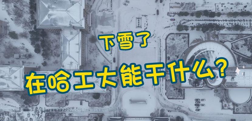 一场意外的降雪让城市生机勃勃（一场意外的降雪让城市生机勃勃）