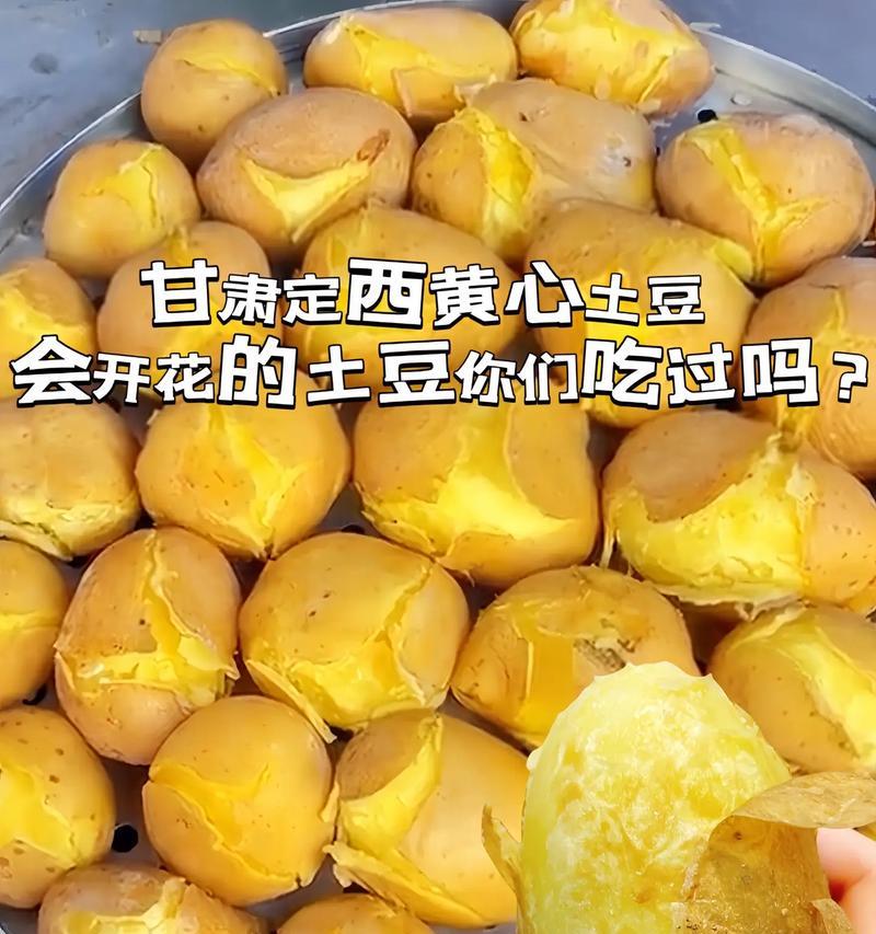 品尝世界的土豆美食（品尝世界的土豆美食）