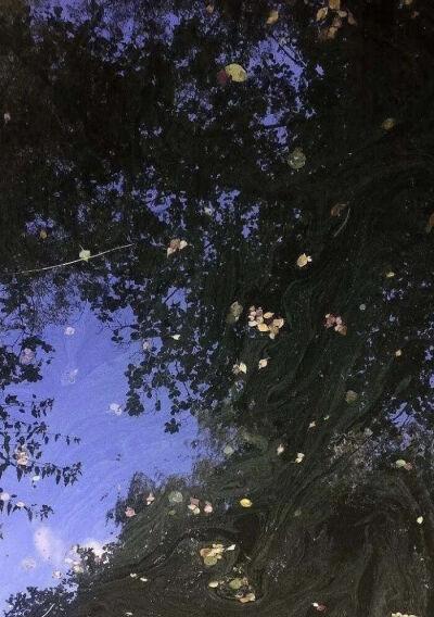 美好的世界（一切皆有美好）