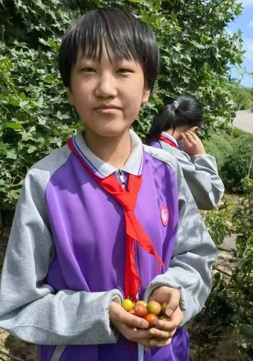 劳动的果实（青年实习生与家族企业）