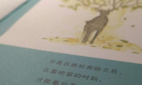 不放弃，不言败（不放弃，不言败）